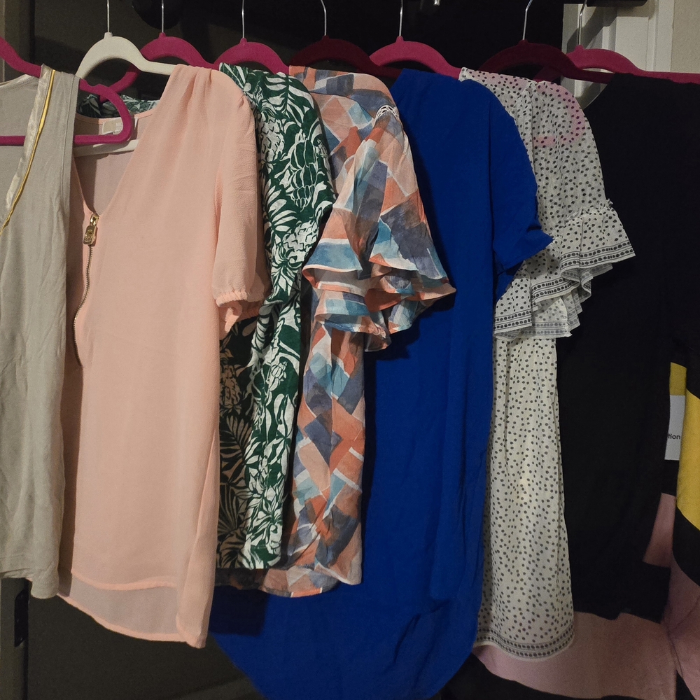 Max Studio Blue and Pink Blouses Collection